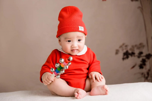 代怀生子好找吗宝宝餐椅哪种最实用 代怀生子好找吗宝宝餐椅哪种最实用